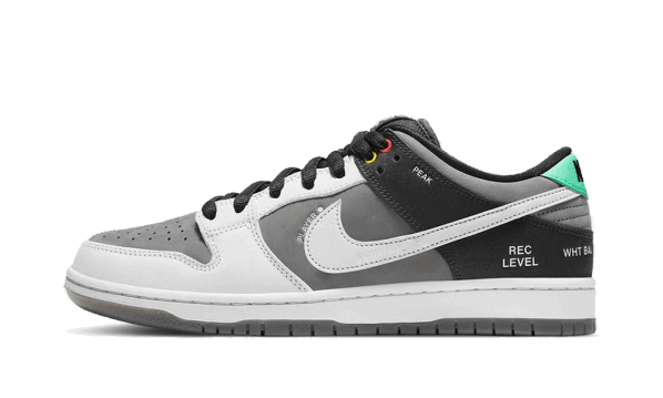 Restock Nike SB Dunk Low VX1000 Camcorder
